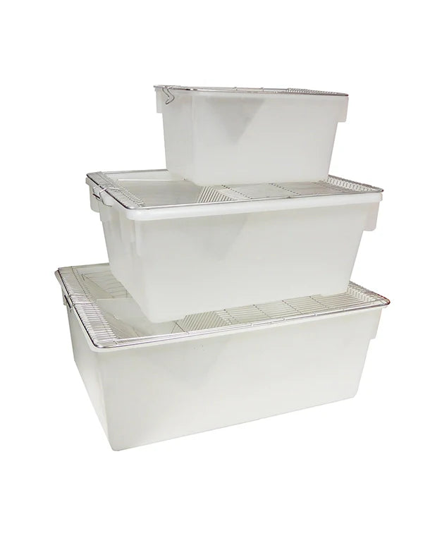 Transportbox