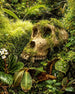 SWISSskulls Gorilla-Schädel als Terrariendekoration im Jungle-Style