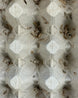 Reptiking Futterinsekten: Ofenfischchen (Thermobia domestica) in natürlicher Umgebung